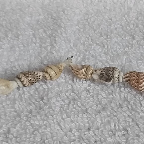 Real Fully Intact 35" Polished Seashell Necklace Fashion Piece Without Clasp!! - Picture 3 of 3